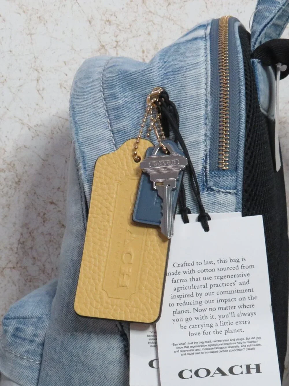 Coach Faded Denim Taylor Small Backpack (Light Indigo)